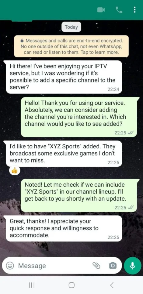 Customer WhatsApp conversation 4